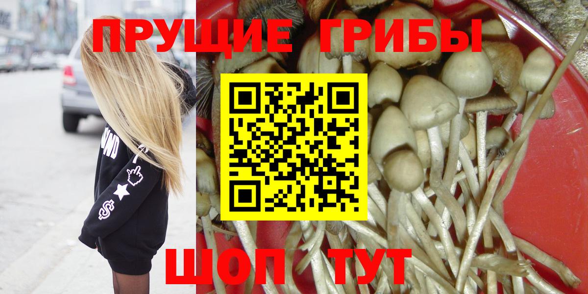 Псилоцибиновые грибы Psilocybe  Галлюциногенные грибы Magic Shrooms  Вход с VPN  Ликино-Дулёво 